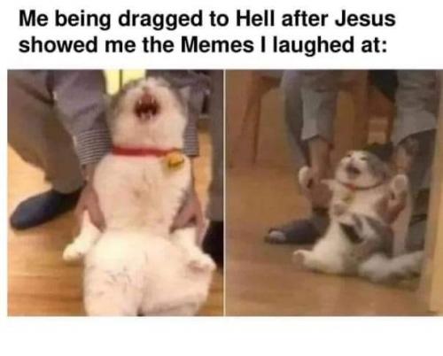 FB_IMG_1629543132318