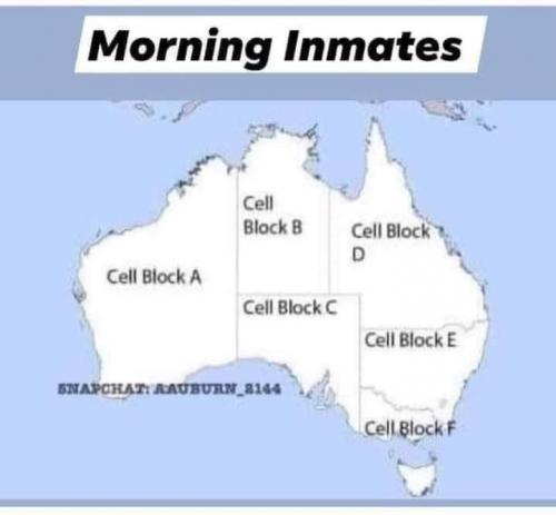 FB_IMG_1628179331632