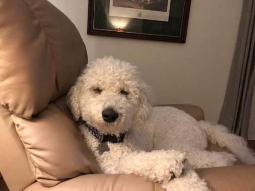 13:16:21 GMT+0100 (WAT)