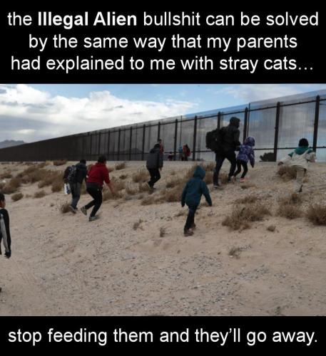 the wall180