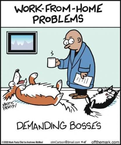 12:17:46 GMT-0700 (PDT)