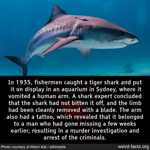 231032387_6683307488353552_814771302264299955_n