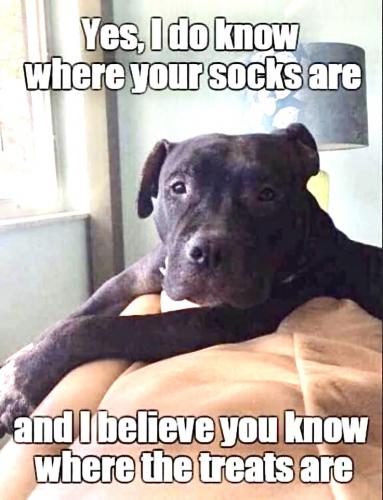 08:15:06 GMT-0600 (MDT).image