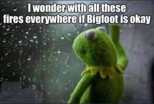 FB_IMG_1628451118218