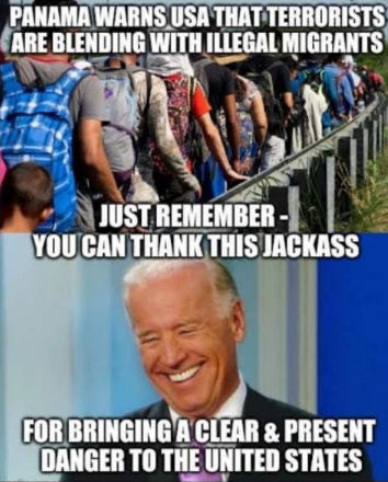 the wall177