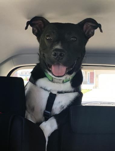 09:50:59 GMT-0400 (EDT).image