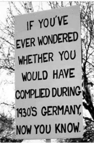 233262630_1071465093680530_6724419790962358253_n