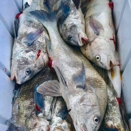 IMG_16292745155888057