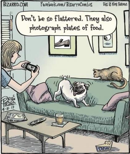 FB_IMG_1628895337826