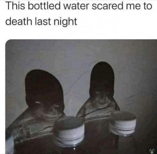 FB_IMG_1629668903439