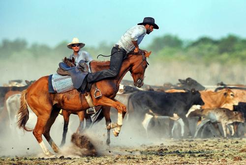 c1366153e59cf449caf67494ccfc1a8d