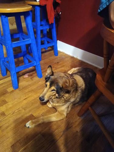 IMG_20210826_194047728