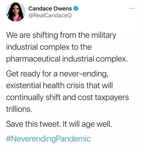 Never Ending Pandemic