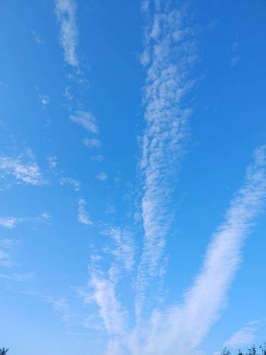 received_142539821366765