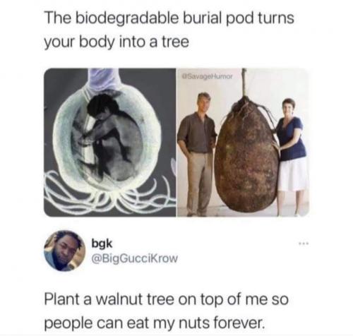 FB_IMG_1628650190082