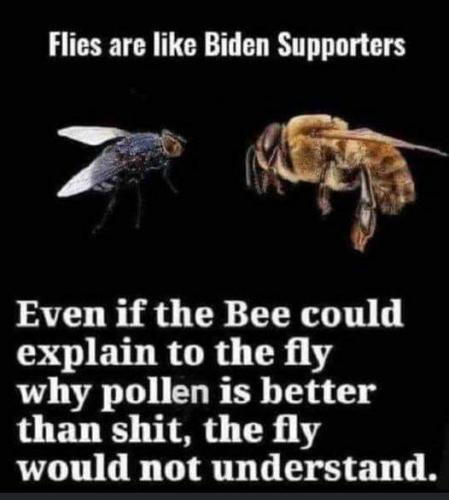 236152945_1056286038506985_5365161711265886562_n