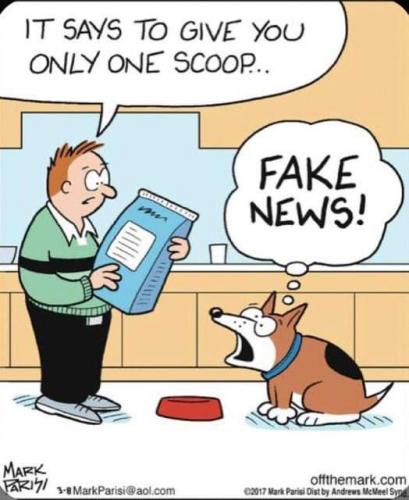 FB_IMG_1630161946836