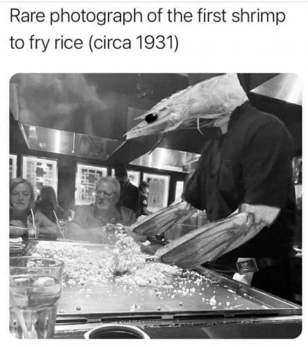 FB_IMG_1628282391560