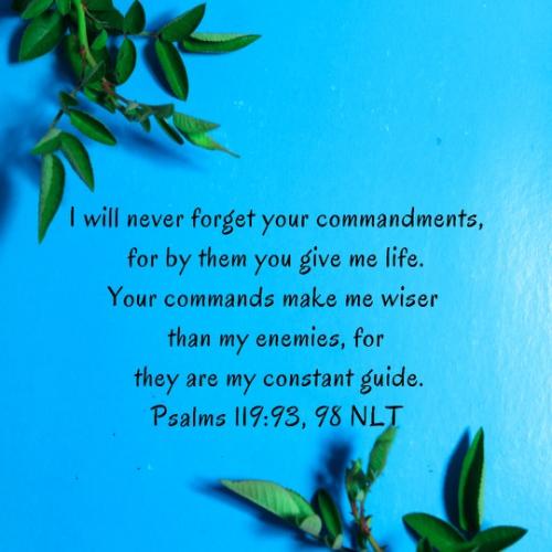 22:35:27 GMT-0400 (EDT).image