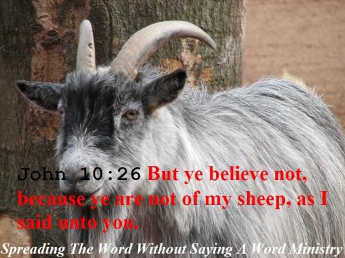 10609643_625225077576627_3187975113933676259_n