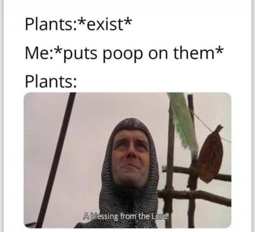 FB_IMG_1630068112233