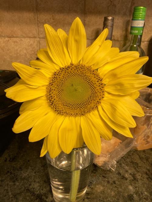 41C14B87-28EC-4AD3-8FDA-82ED5CB8F1F3