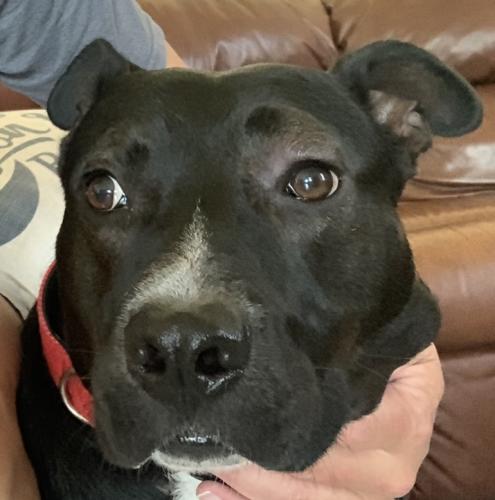 17:56:50 GMT-0400 (EDT).image