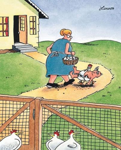 FB_IMG_1628478595878