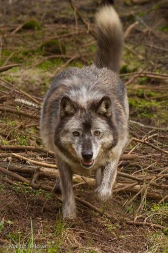 10:02:44 GMT-0500 (CDT)