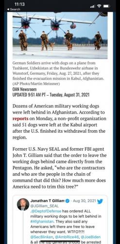 Screenshot_20210831-143148_Telegram
