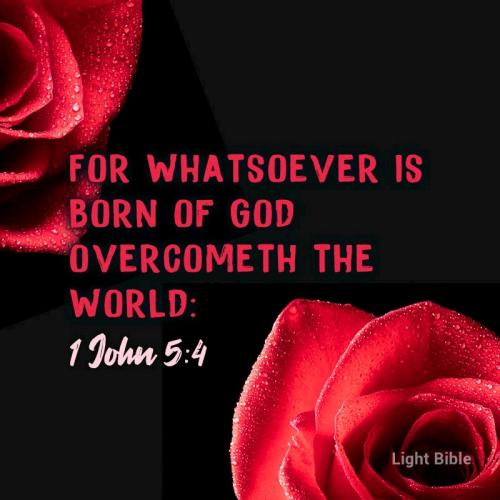 06:55:40 GMT-0400 (EDT).*