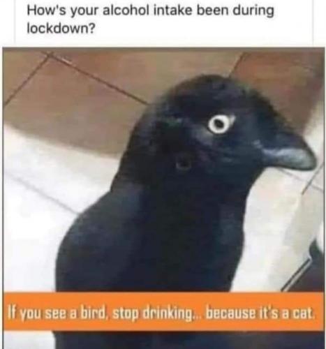 FB_IMG_1628393237701