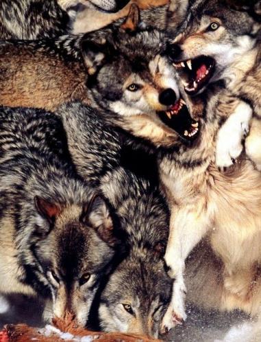 aced7028b1b9328292adde3e7046e30a