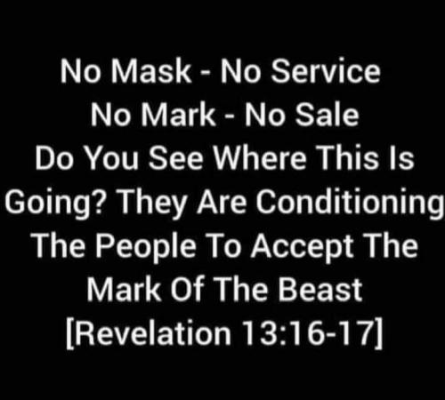 240607661_4195883407199106_3740853511179511877_n