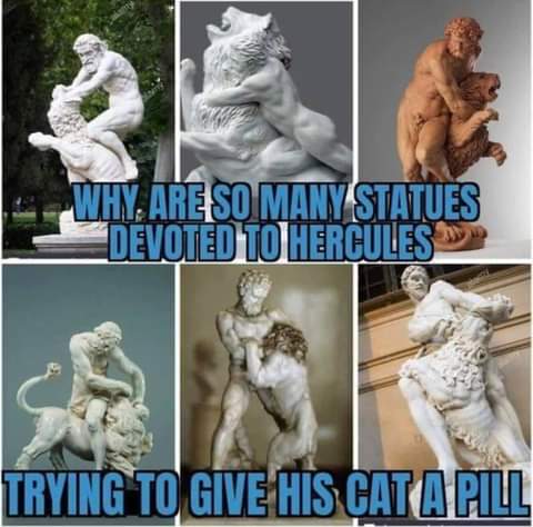 FB_IMG_1628735678565