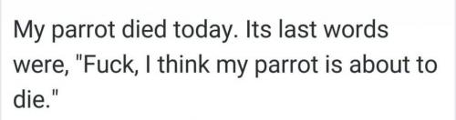 FB_IMG_1629472851243