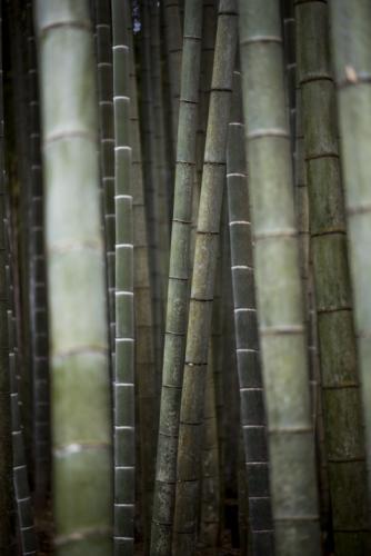 tumblr_566f70274303b2485e0e3f47fe5b1f2f_76742246_540