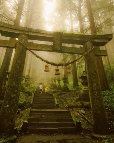 237003735_981144922670398_8818051703657166622_n