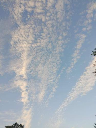 received_550377512687298