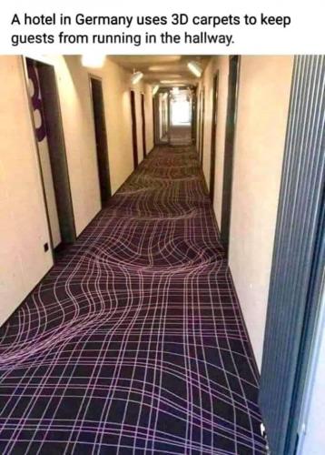 241043313_10220542783023009_3271420630016826460_n