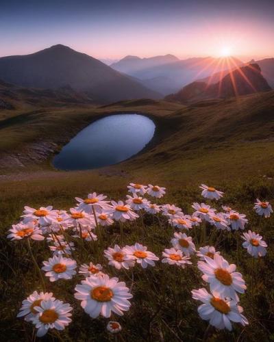 234789372_388114236025589_7844520805408069918_n