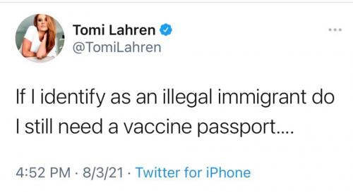 identify as an illegal