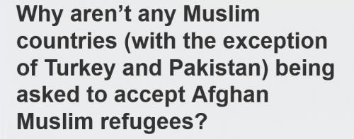 Movavi ScreenShot 016 - Why aren’t any Muslim countries (with the exception of Turkey and Pa_ - barenakedislam.com