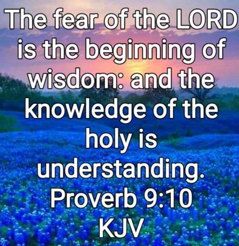 08:29:46 GMT-0700 (PDT)