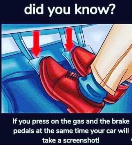 FB_IMG_1628037381146