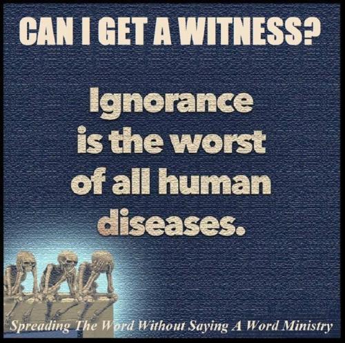 39745211_1930100137072108_7061728895292145664_n