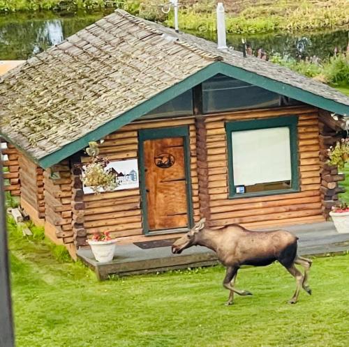 239610063_251908960123483_4679887879138718270_n