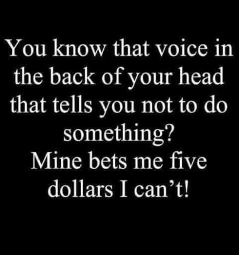 FB_IMG_1628402393291