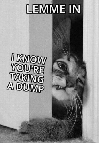 11:10:39 GMT-0700 (PDT)