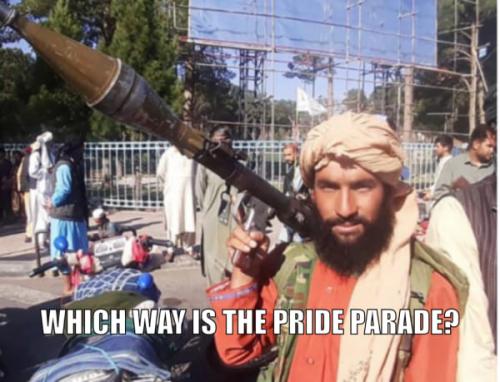 239398436_1334035020362349_694684618141677961_n